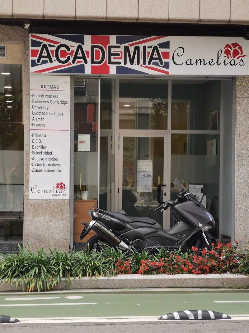 Academia Camelias photo 1