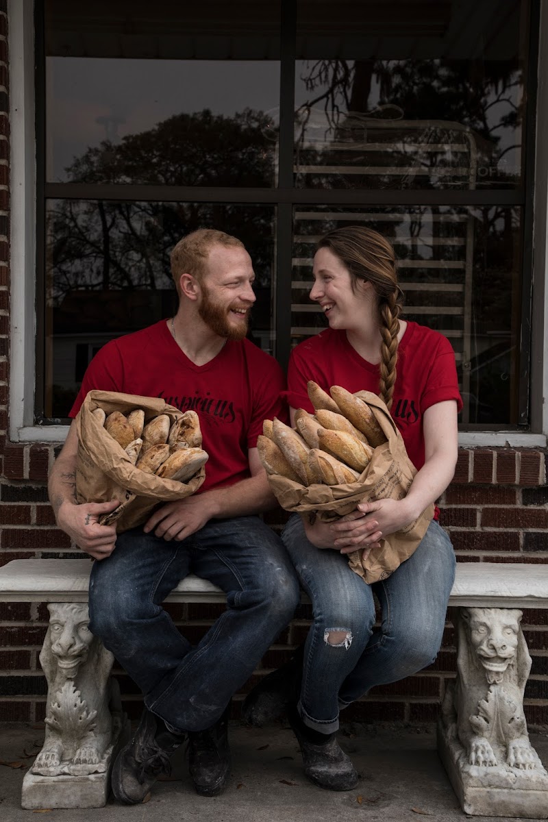 Auspicious Sandfly photo 3