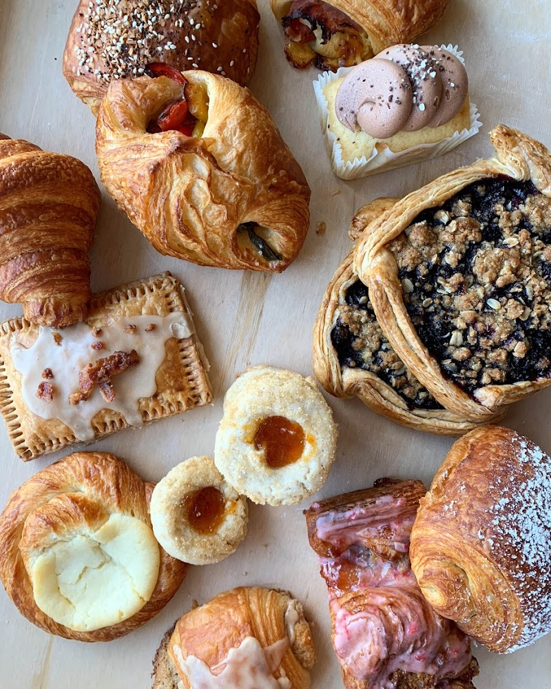 Auspicious Sandfly photo 4