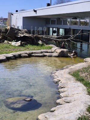 Nationalpark-Zentrum Multimar Wattforum