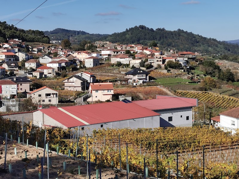 Señorío de Beade Adega photo 3