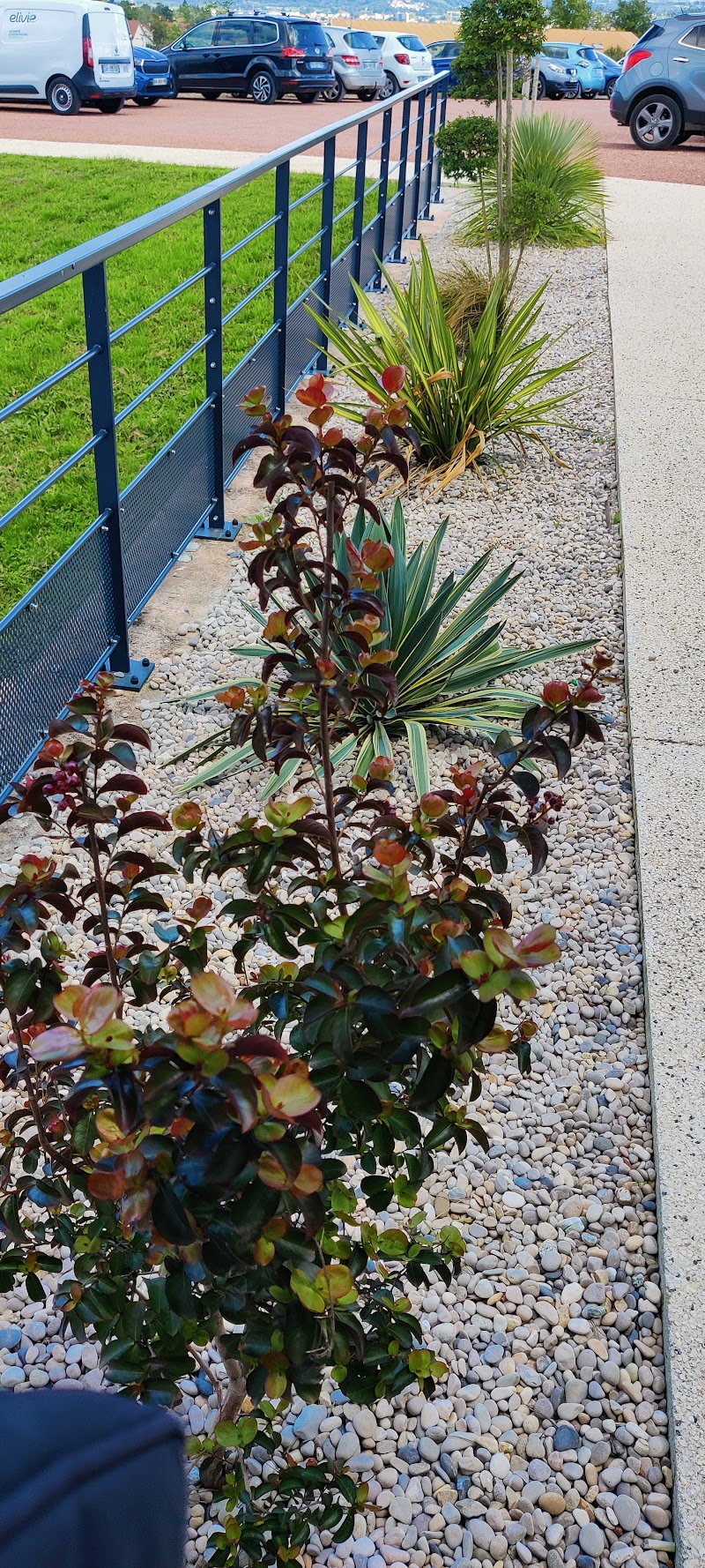 Centre du Sommeil de la MIRANDOLE