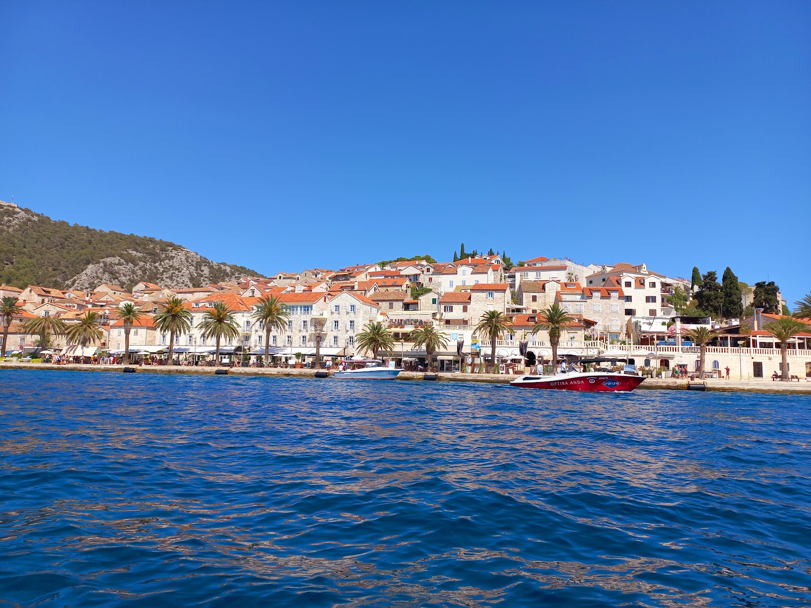 Best Dog-Friendly Hotels in Hvar and Korčula, Croatia