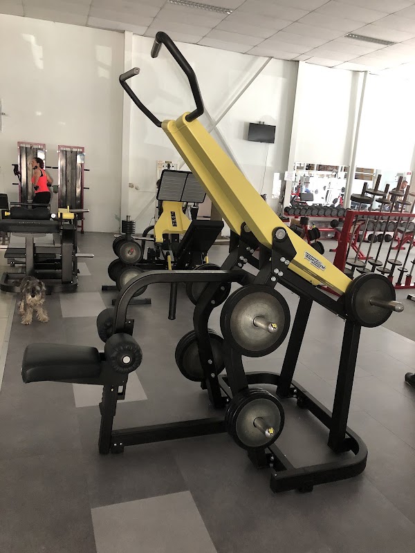 Palestra 10-22