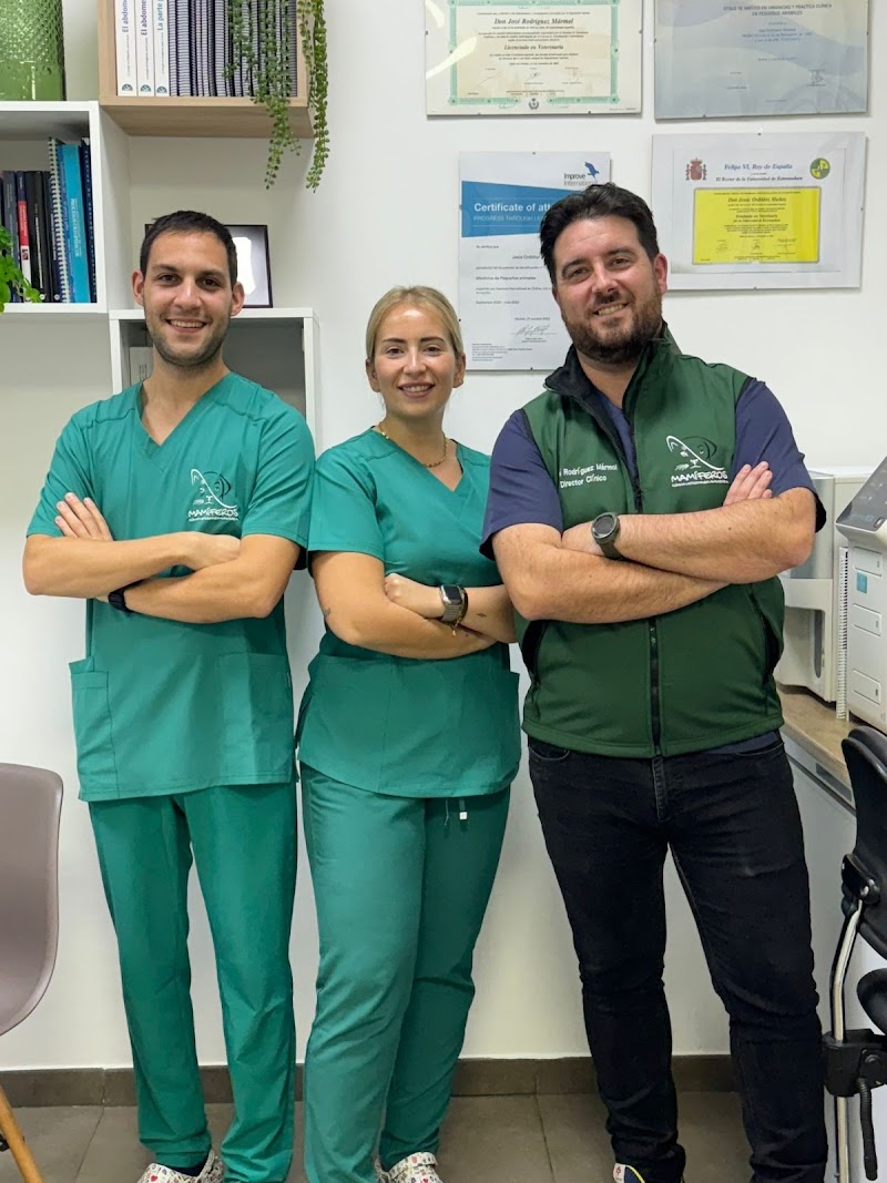 Clinica Veterinaria Mamiferos
