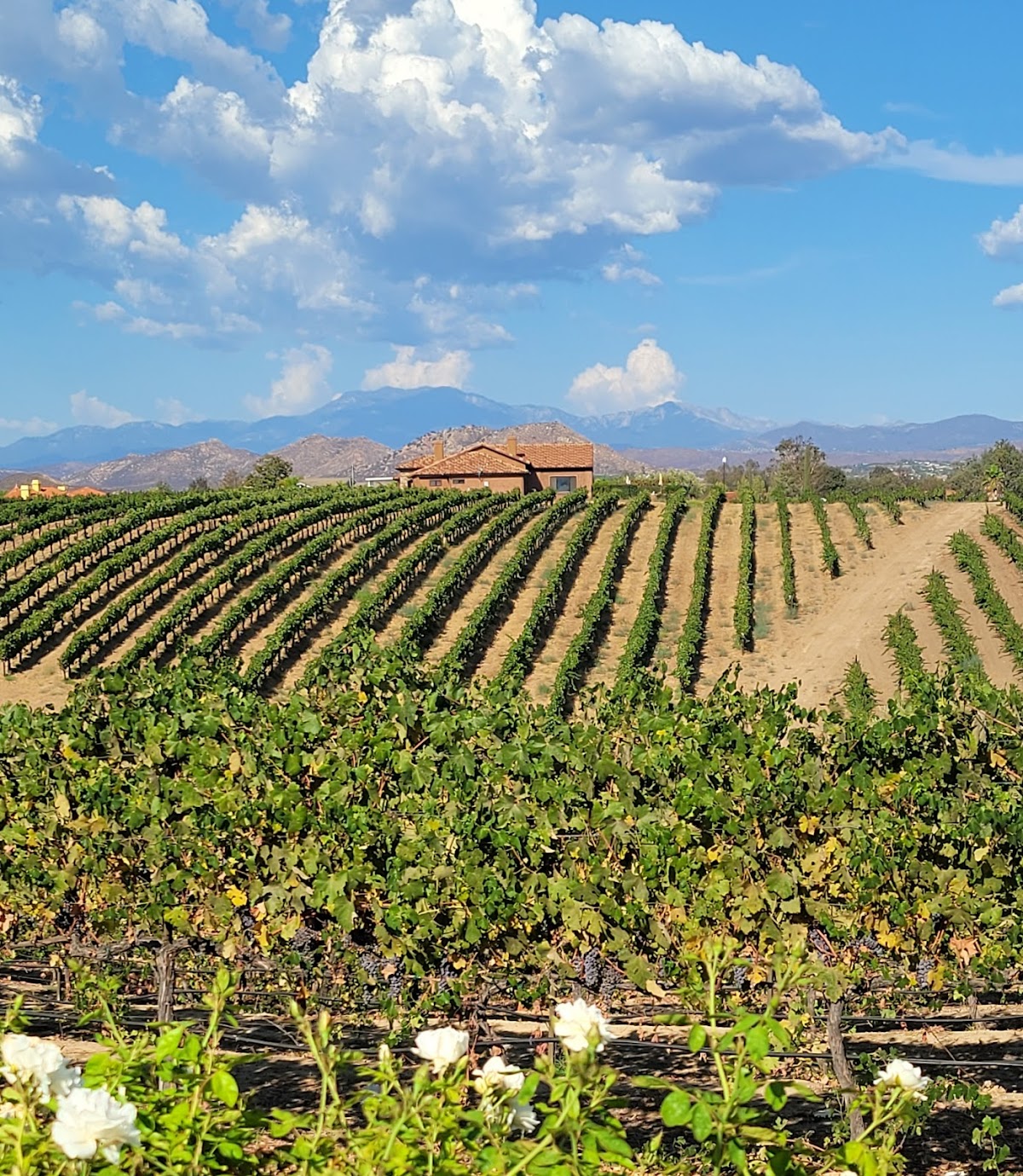 Villa De Amore Temecula Wedding Venue: Google Places image 2