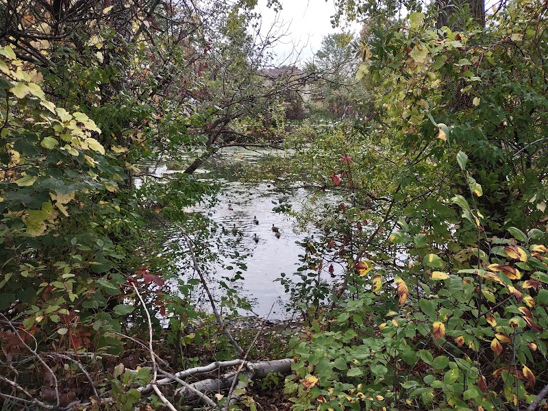 Silver View Disc Golf Course photo 4