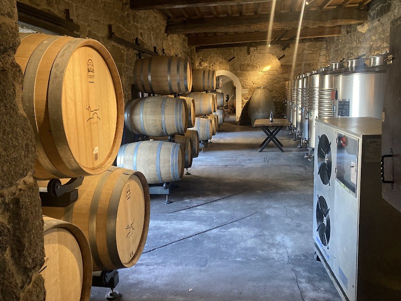 Bodegas del Palacio de Fefiñanes photo 2