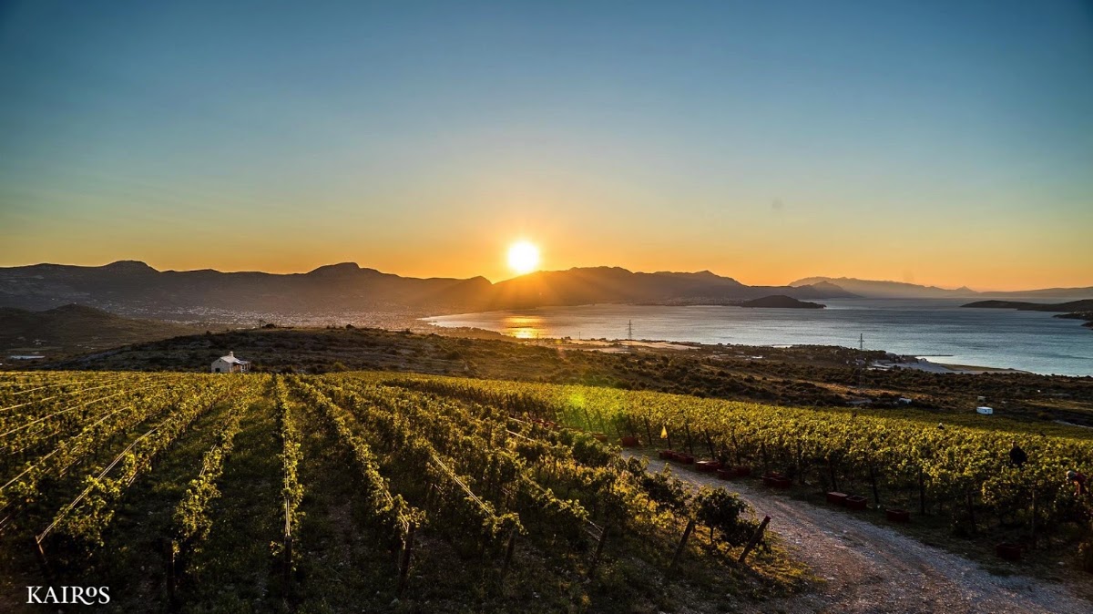 Kairos Vina