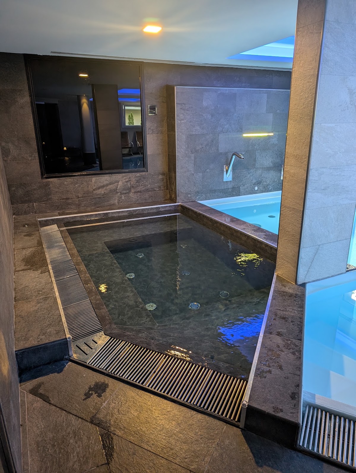 Grand Hôtel des Alpes, dog-friendly hotel, photo 2