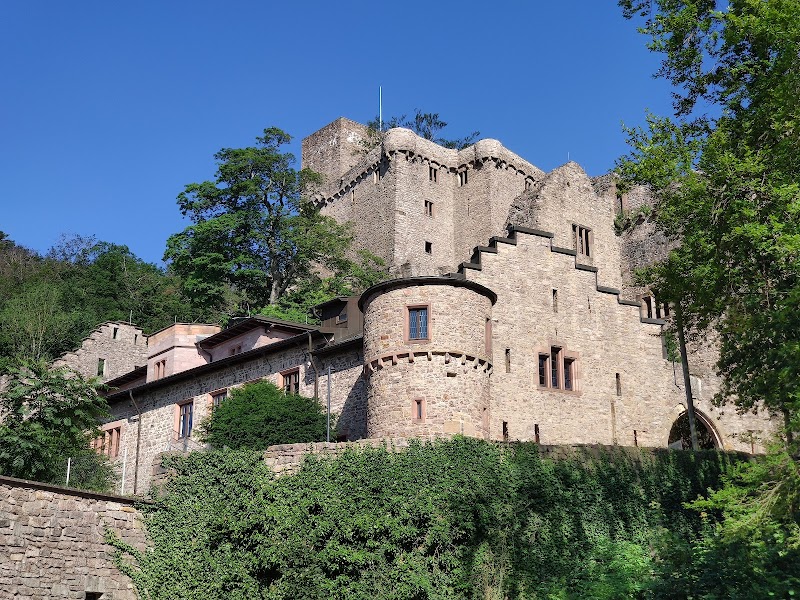 Баттертфельзен байм Шлос Хоэнбаден