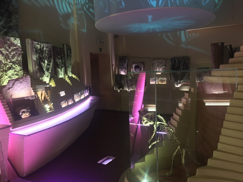 Museo di Storia Naturale Giancarlo Ligabue (Fondaco dei Turchi) fotoğraf 1