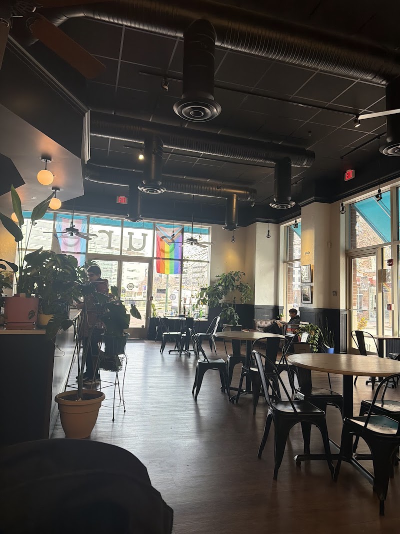 Cure Coffeehouse photo 4