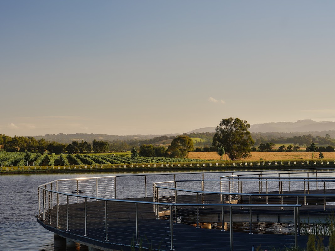 Reem Yarra Valley at Helen & Joey Estate - Restaurant, Hotel, Best Winery, Cellar Door