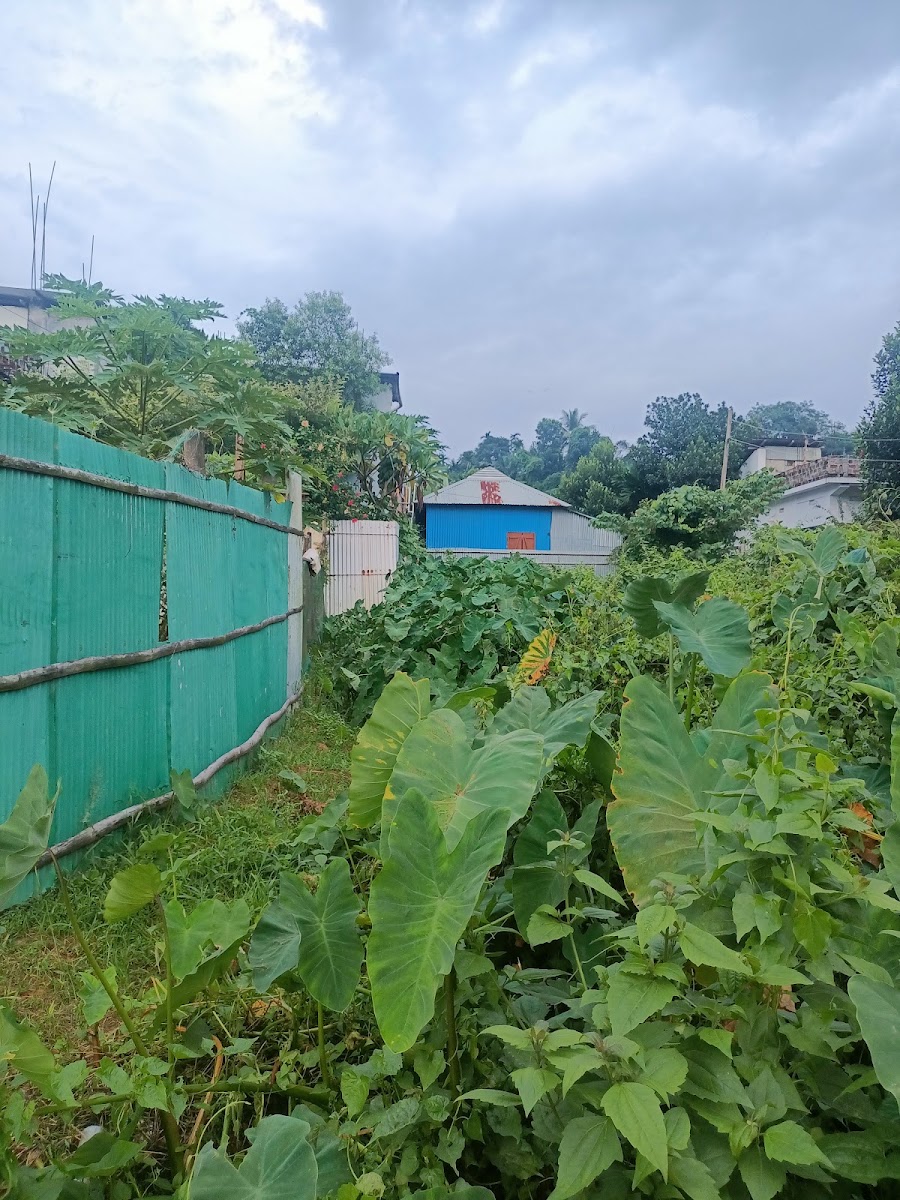 Bhattacharya Lane photo 3