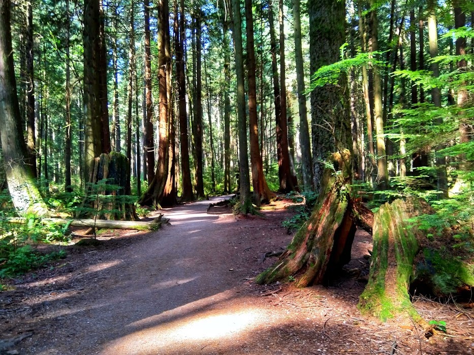 Pacific Spirit Regional Park fotoğraf 1