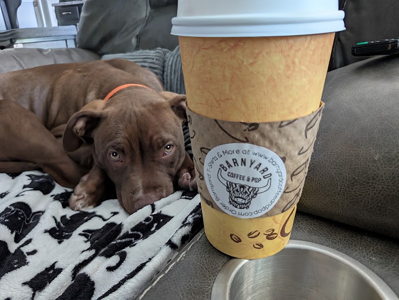 Barnyard Coffee & Pop photo 4