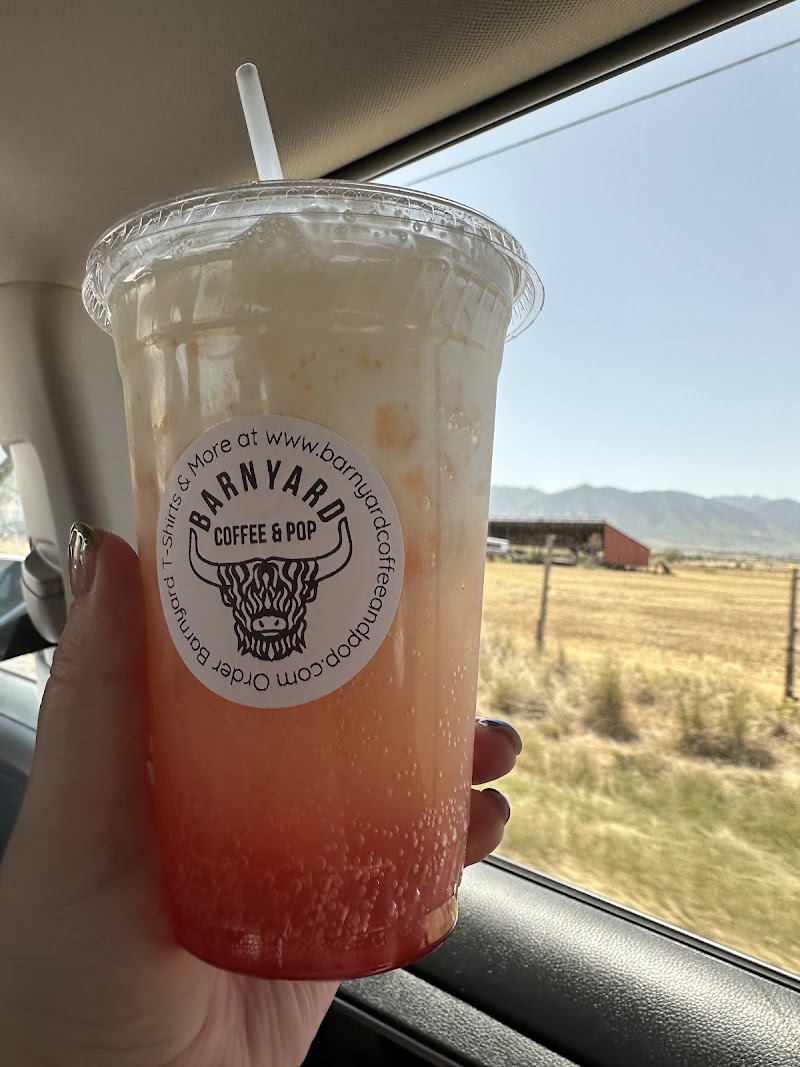 Barnyard Coffee & Pop photo 2