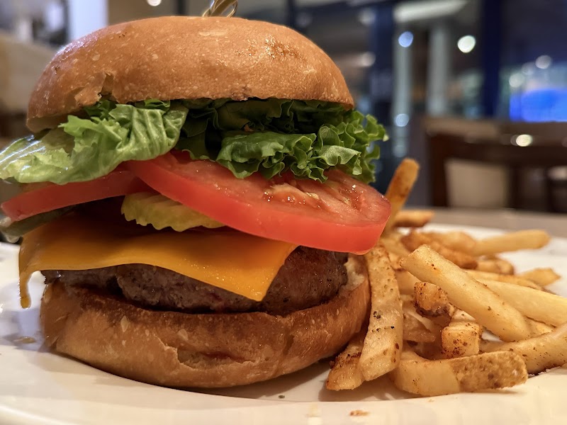 Bella Bru Cafe photo 3