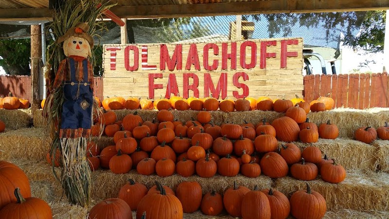 Tolmachoff Farms - Photo 1