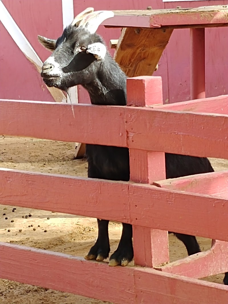 Tolmachoff Farms - Photo 4