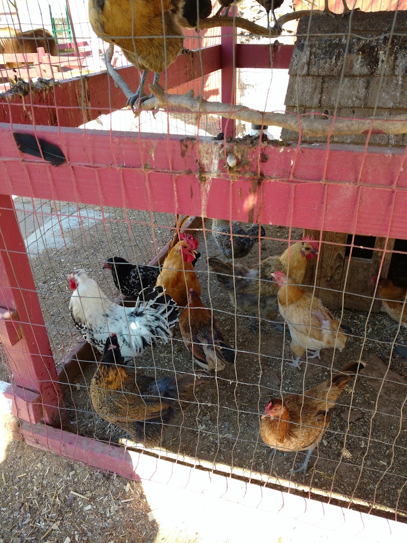Tolmachoff Farms - Photo 5