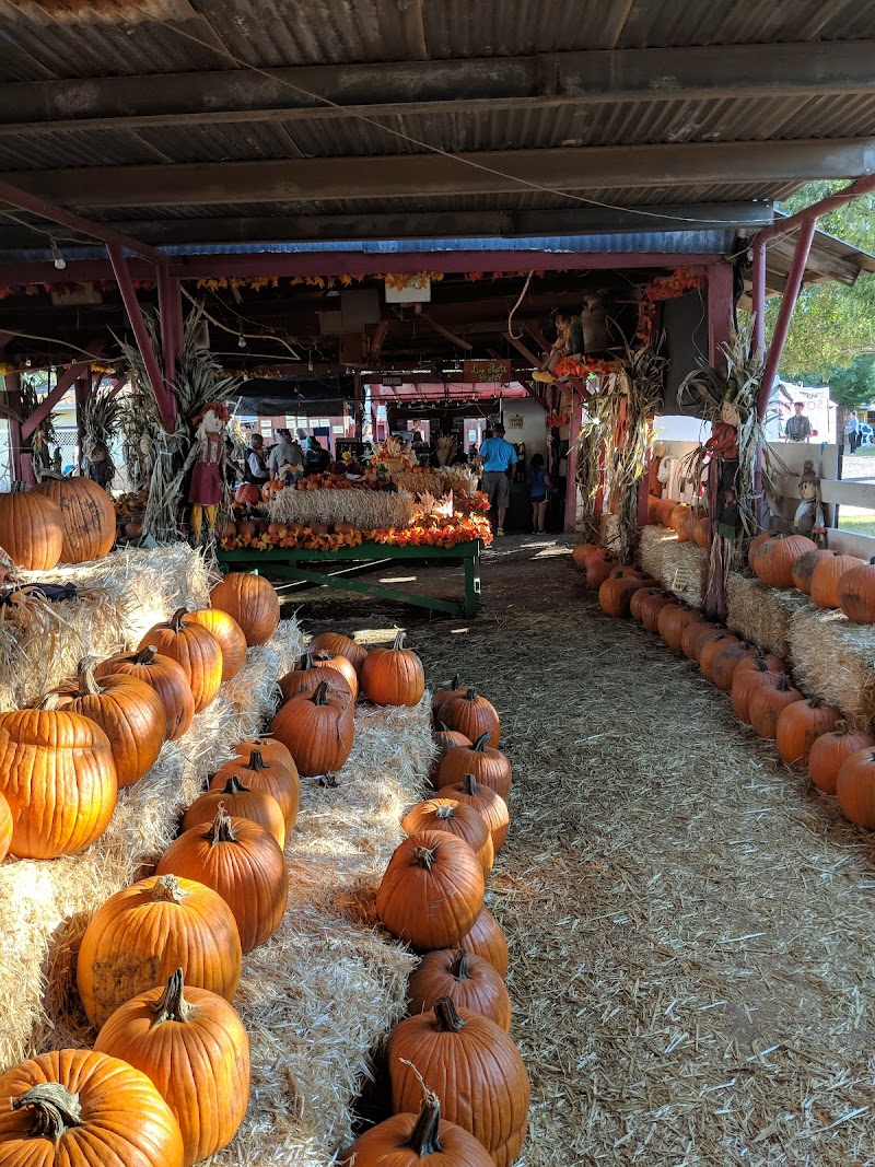 Tolmachoff Farms - Photo 2