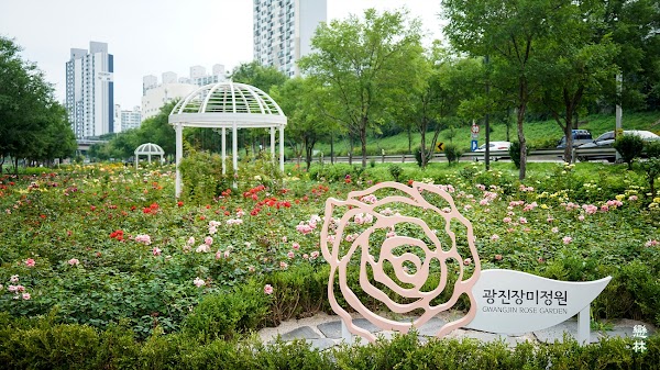 광진장미정원 1