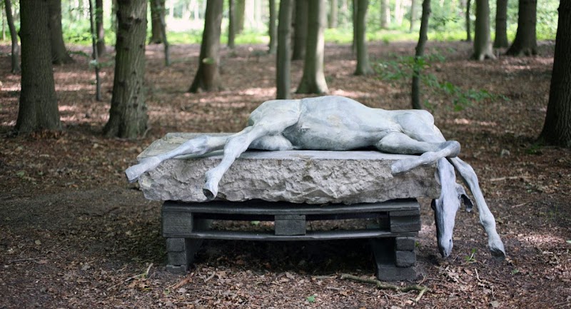 Beelden in Wassenaar