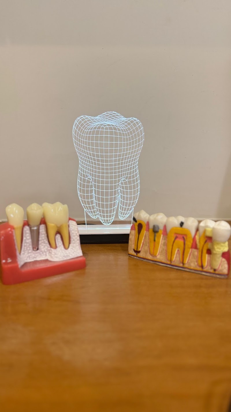 DENTISTA Dra Luiza Mello - foto 3