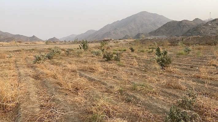 مجموعة المحيسني للمقاولات