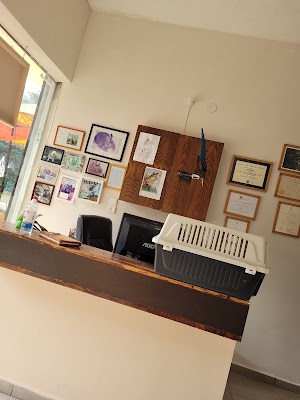 המרפאה האקזוטית