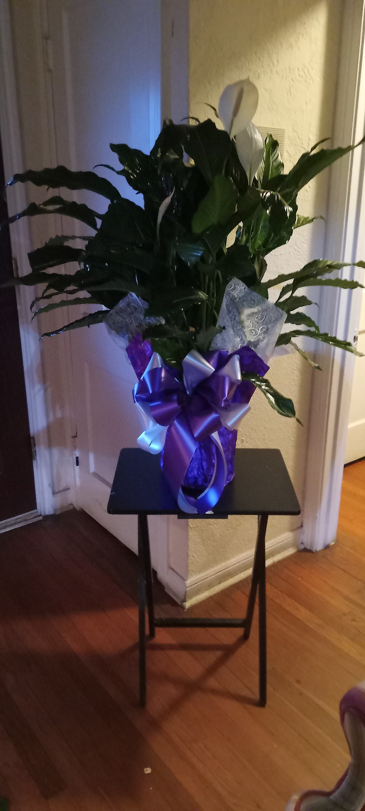 Affordable Flowers, Gift Baskets, & Balloons: Google Places image 3
