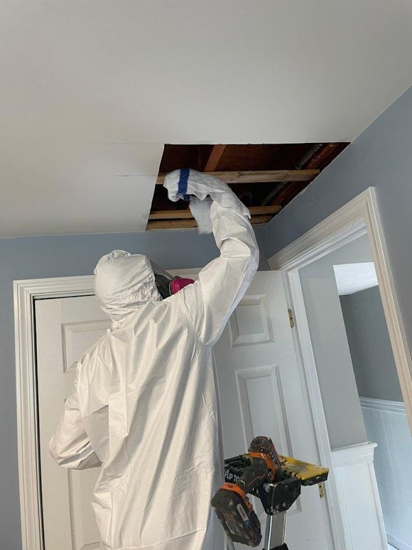 A1 Water & Mold Removal MA — photo
