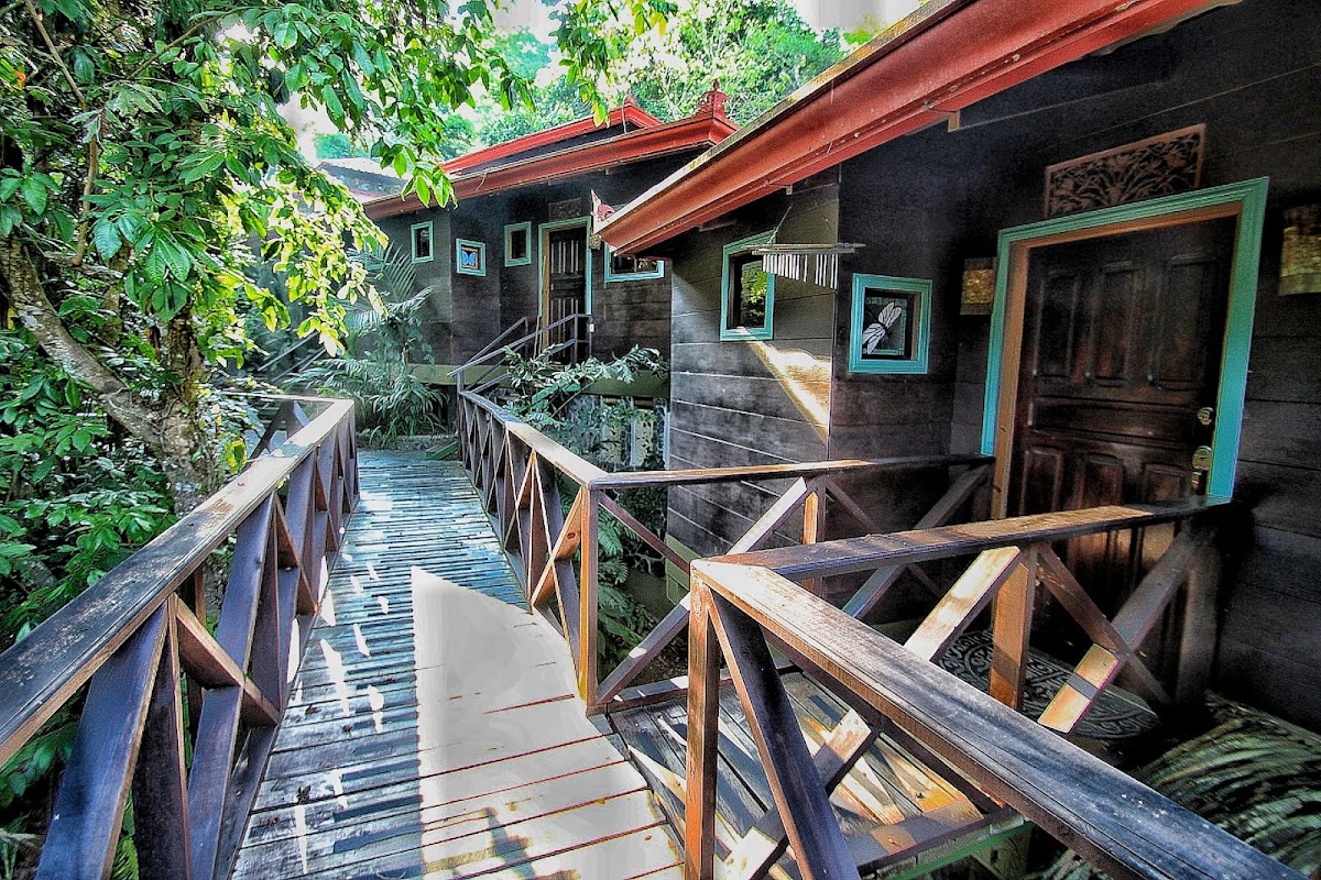 Waterfall Villas - Wellness, Vegan, Yoga Retreat