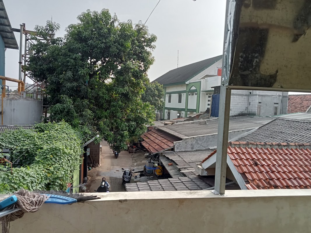 Kost zaskia
