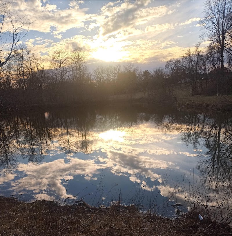 Gwynnbrook Wildlife Management Area - Photo 3