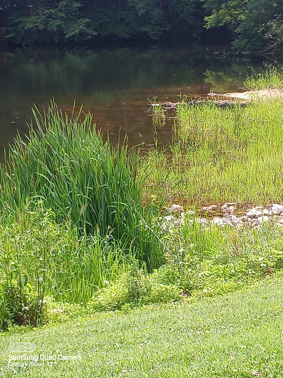 Gwynnbrook Wildlife Management Area