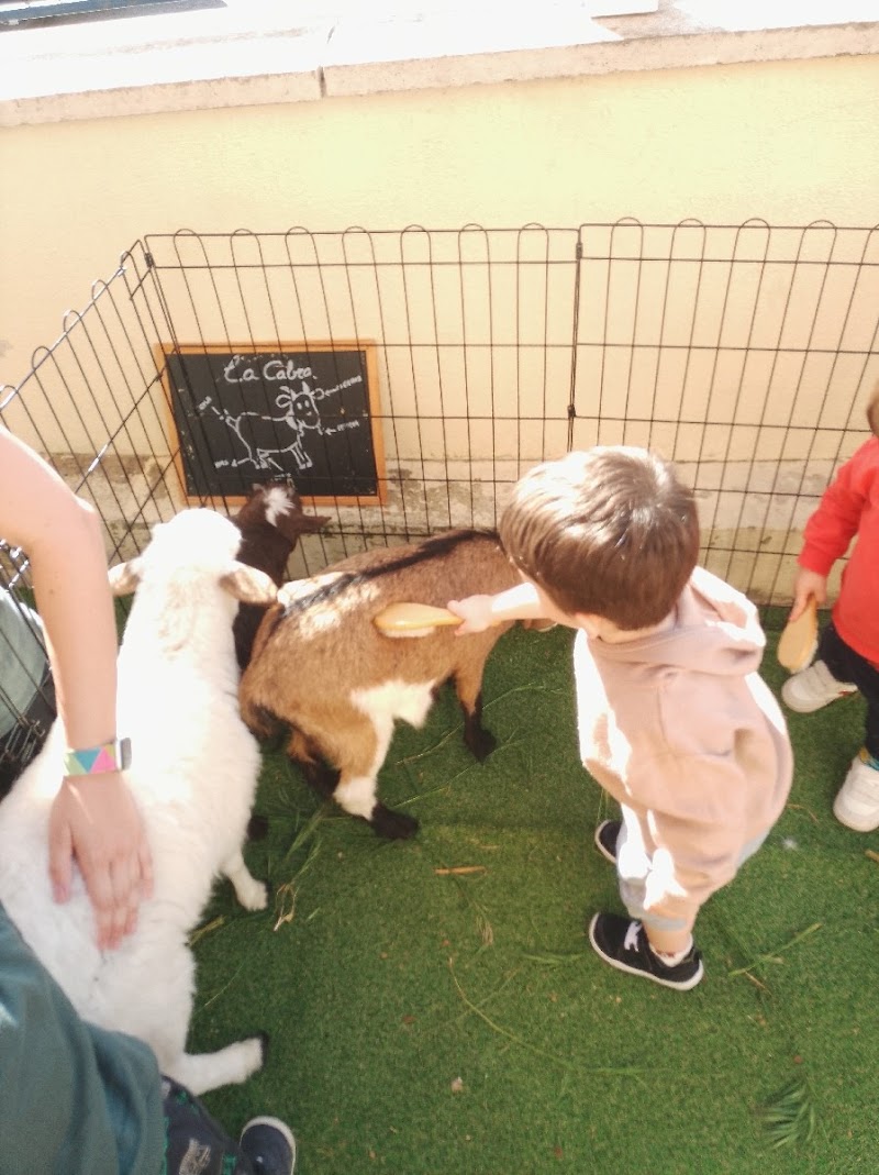 Pezuñas Granja Escuela Movil