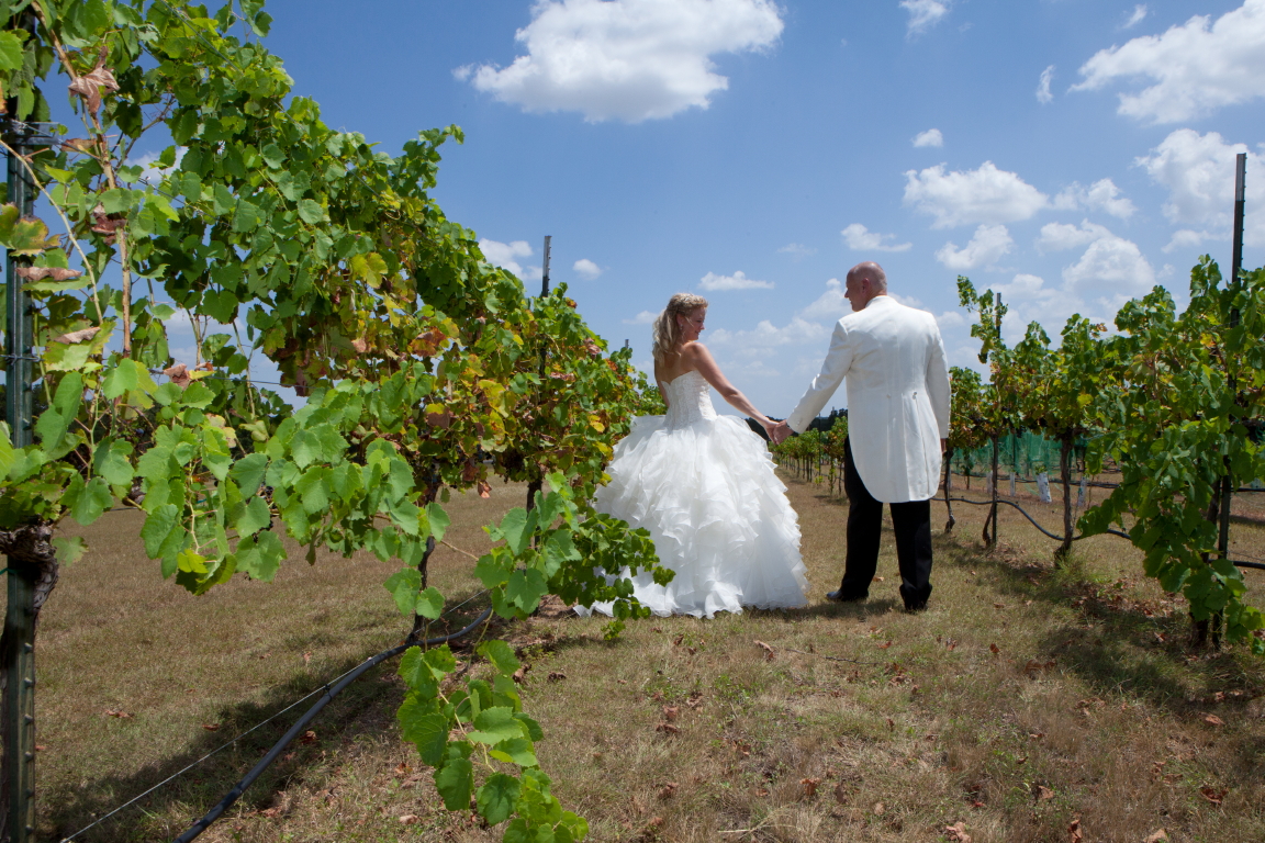 PhotoSynthesis Wedding Photography & Videography: Google Places image 4