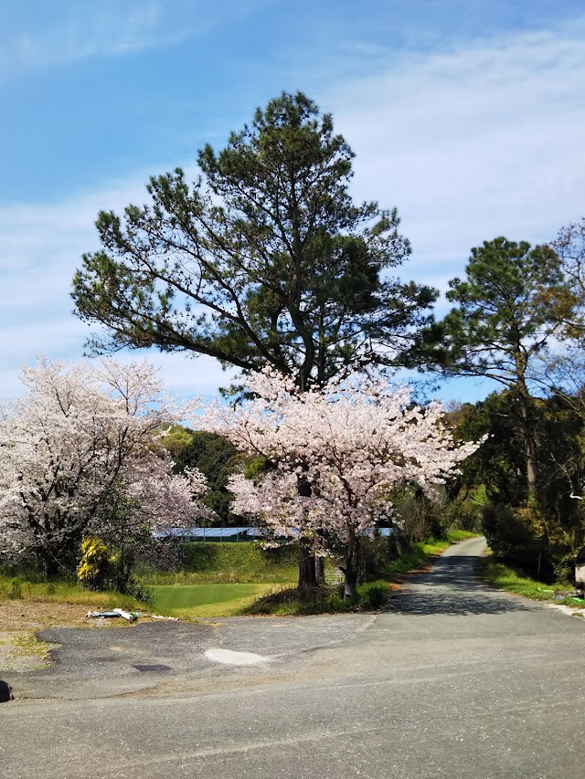 Atsumaru Lake Country Club - Photo 6