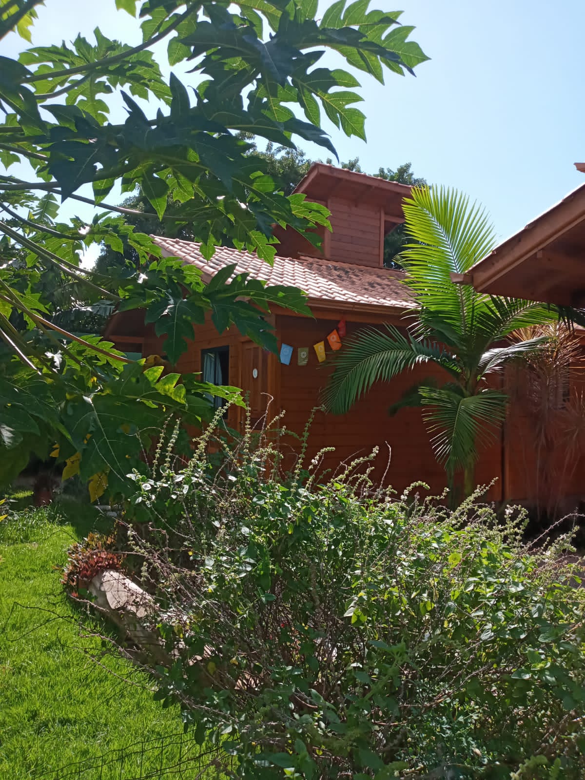 Namastepaz Hospedagem e Práticas de Yoga — 3