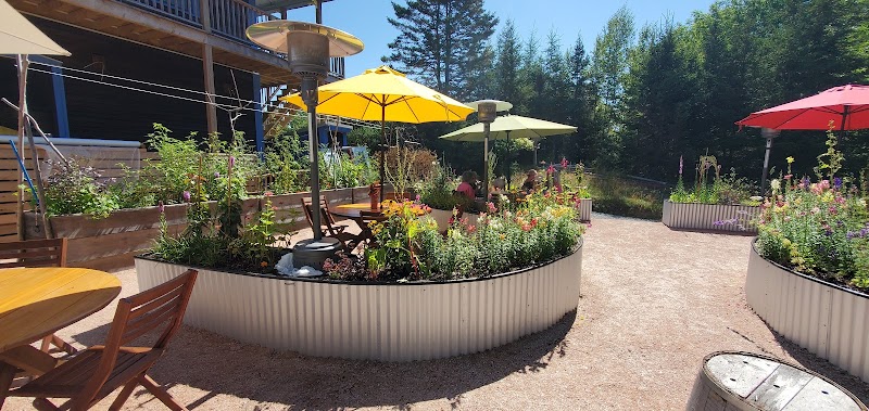 Chicory Blue General Store photo 3