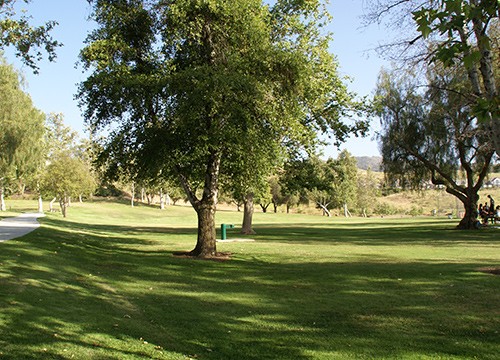 Sycamore Park photo 3