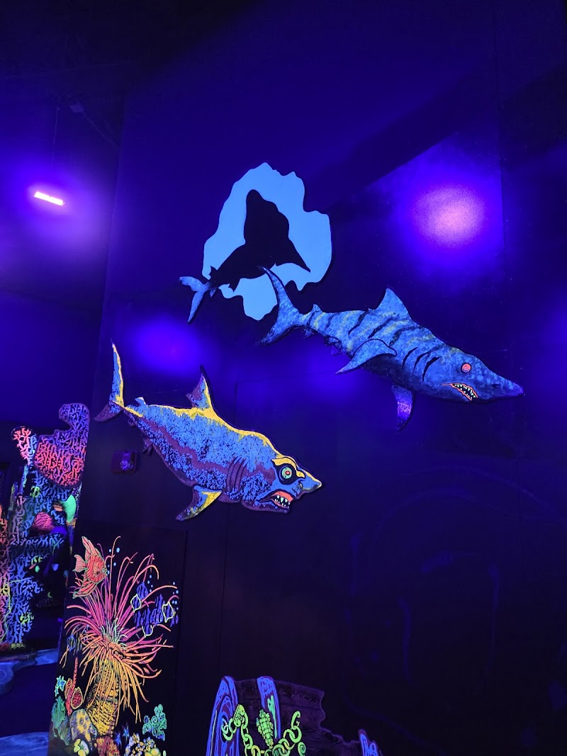 Orlando Putting Edge photo 10