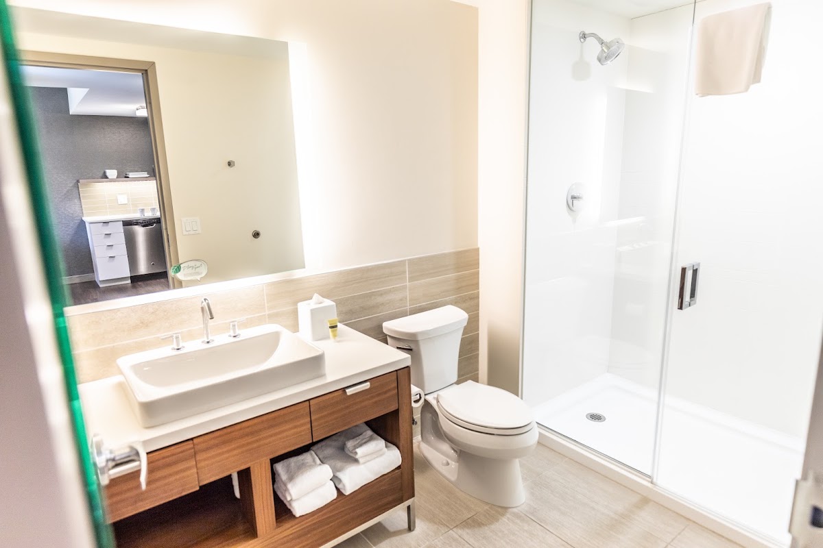 Element by Marriott Basalt - Aspen, dog-friendly hotel, photo 3