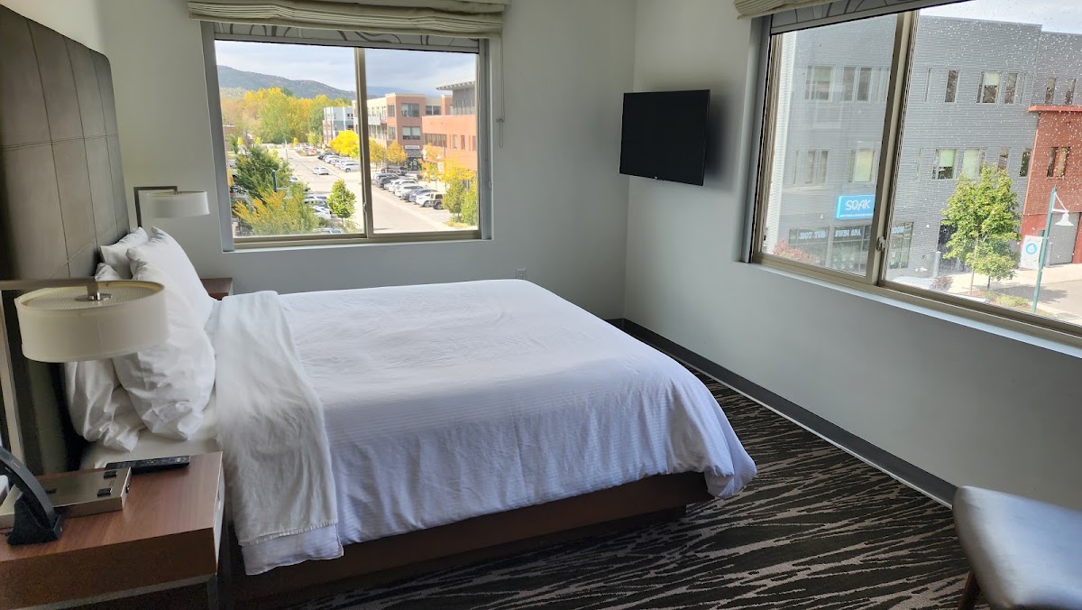 Element by Marriott Basalt - Aspen, dog-friendly hotel, photo 4