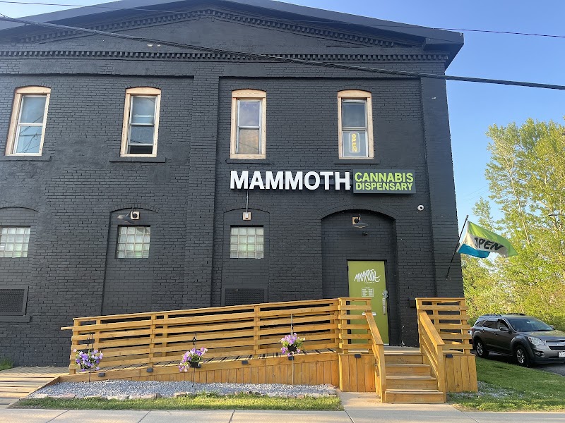 Video tour of Mammoth Cannabis - Buffalo Dispensary retail environment