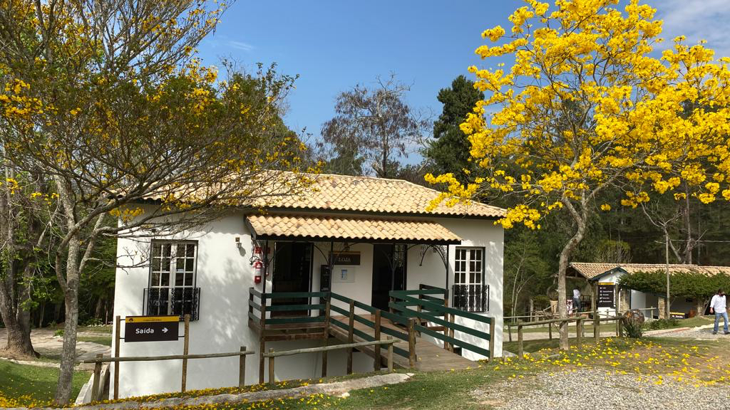 Vinícola Casa da Árvore