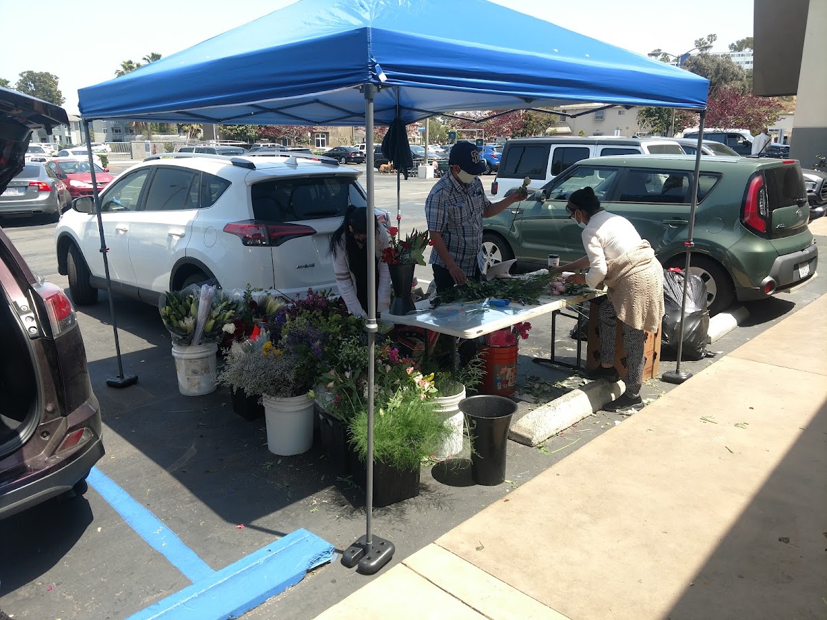 My Flower Shop: Google Places image 2